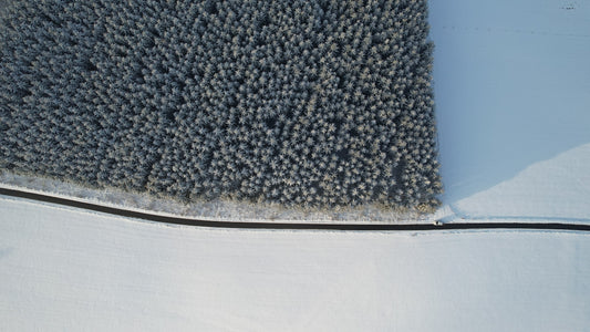 an aerial view of a snow covered field