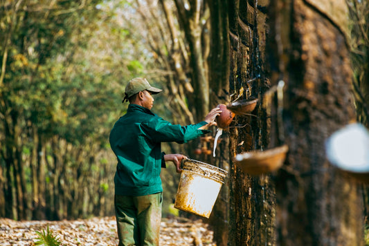 a man holding a bucket of water near a tree