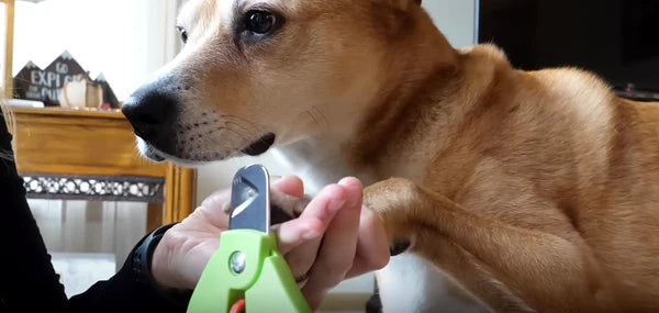 Zen Clipper Precise - safe adjustable nail clippers for dogs and cats - 2 sizes available
