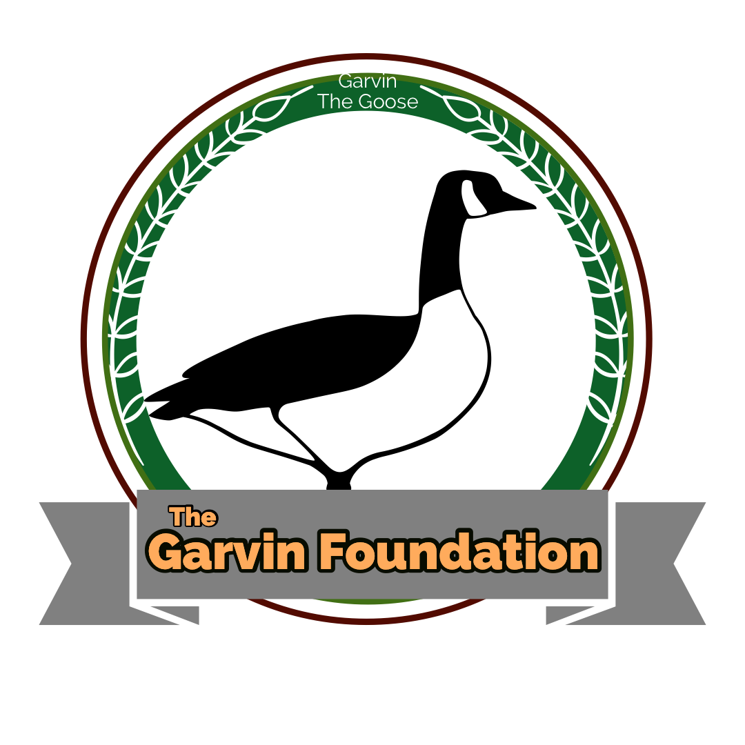 Garvin Foundation Waterfowl and Animal rehab Sponsorship - Save a Goose or duck