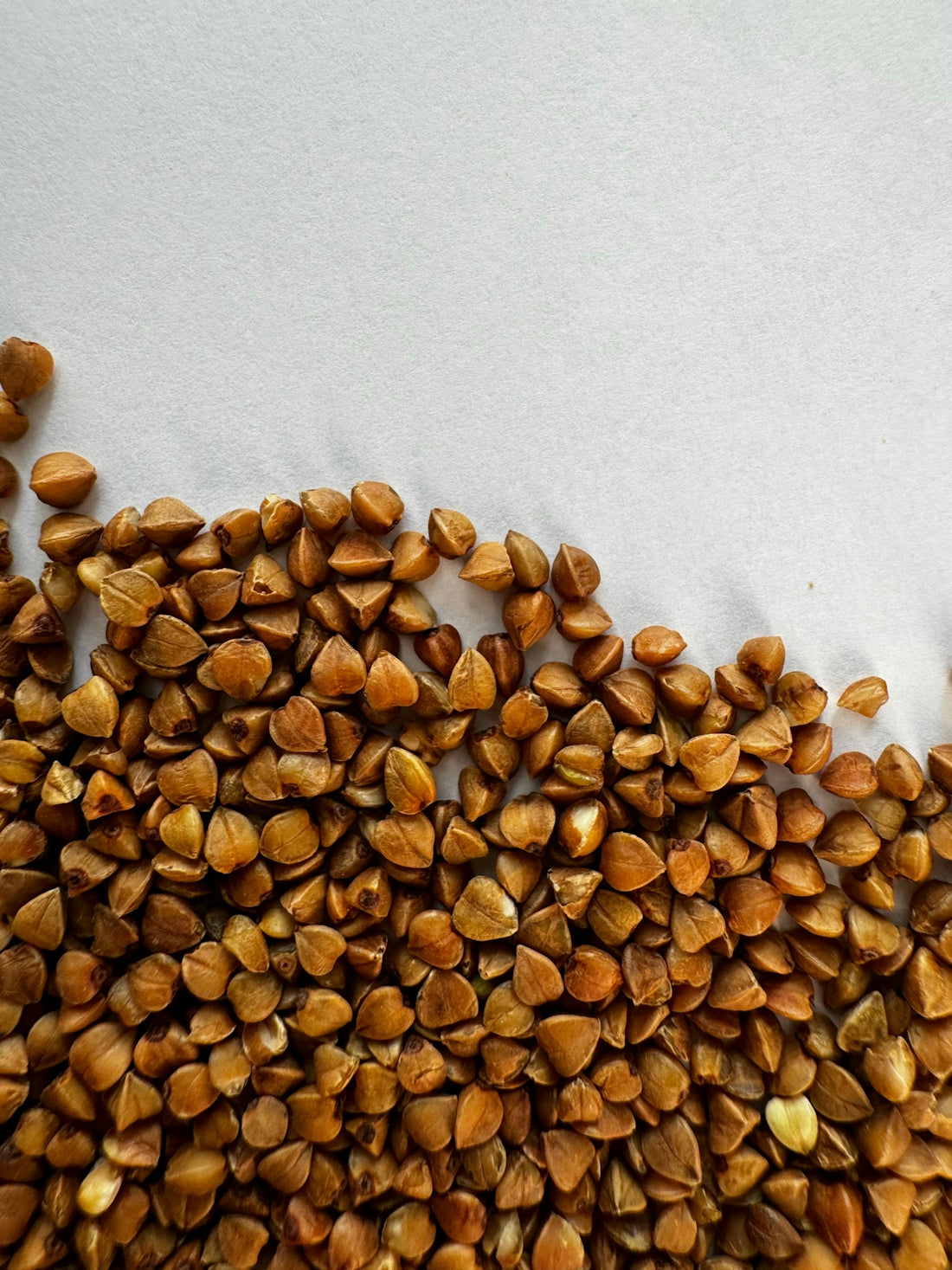 A pile of seeds sitting on top of a table