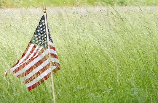 A small american flag stands in tall green grass.