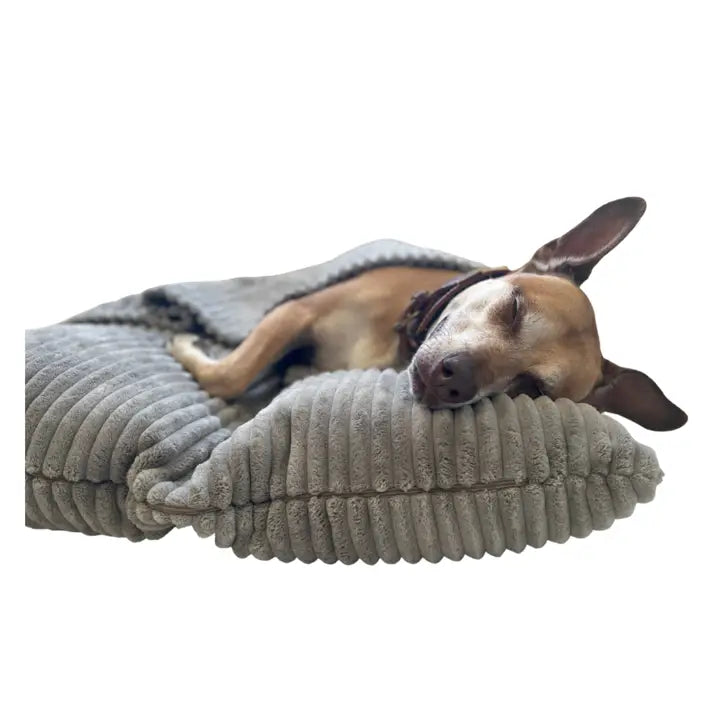 USA Made Copley Dog Bed with Blanket - Snuggly dog bed