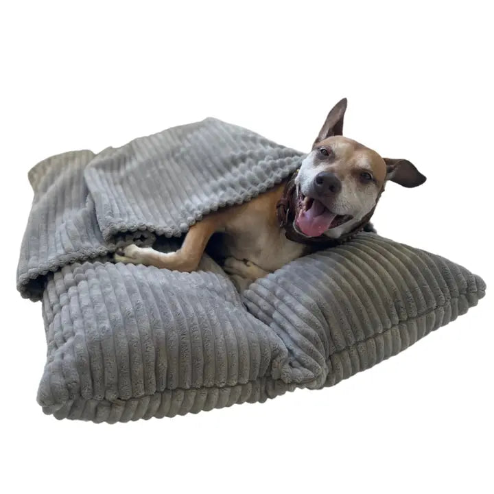 USA Made Copley Dog Bed with Blanket - Snuggly dog bed