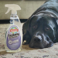 Load image into Gallery viewer, Restore Naturals EnzAway Enzyme Spot Remover (Non-Toxic, Biodegradable) Made in the USA
