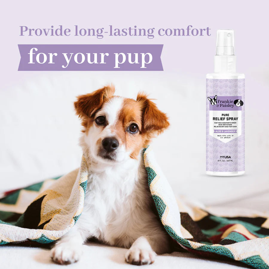 Frankie & Paisley Itch Relief Spray for dogs! Soothing - Made in the USA