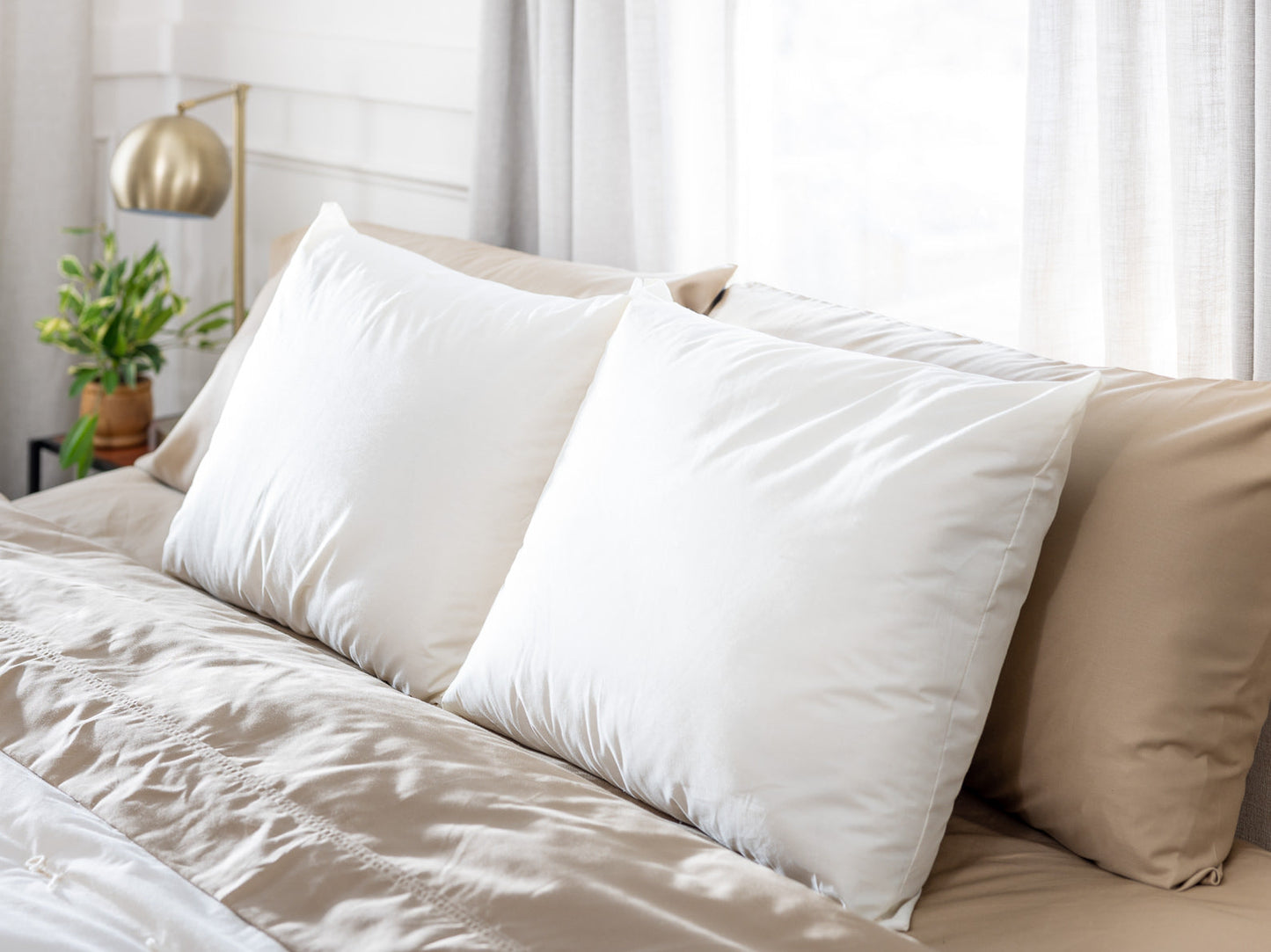 Wool Pillow w/Cotton Cover - Made in the USA