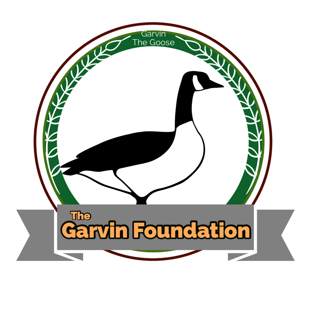 Garvin Foundation goose & duck rehab Sponsorship - Save a Goose or duck